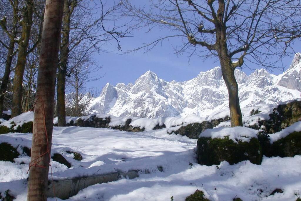 Aire De Montana - Estupendas Vistas A Los Picos Baro  Екстериор снимка